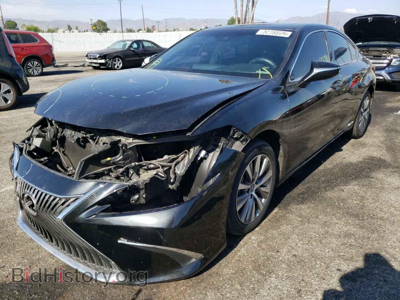 2021 LEXUS ES300 - VIN: 58ADA1C19MU003927 - Фото 2