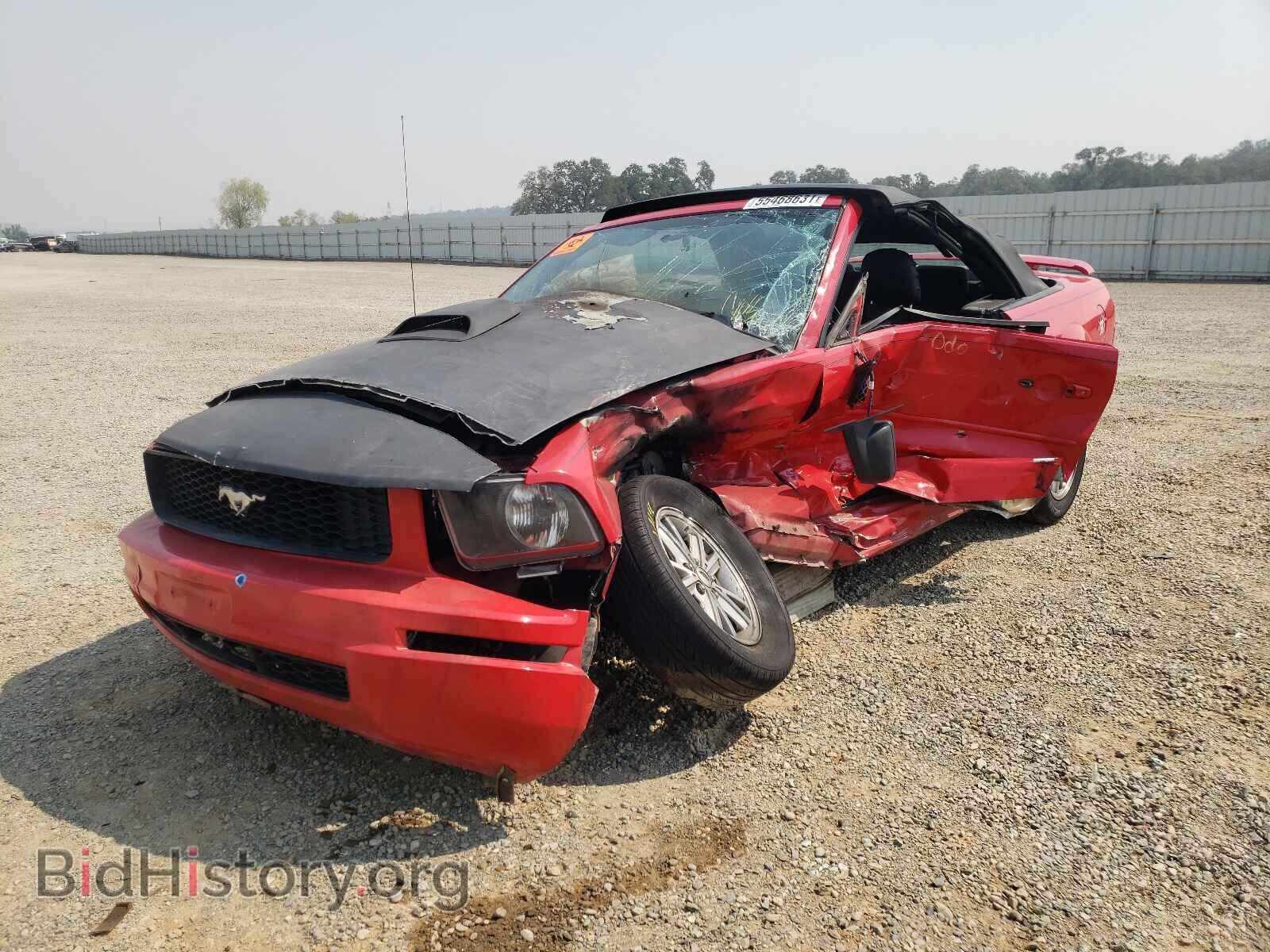2006 FORD MUSTANG - VIN: 1ZVFT84N065121237 - Фото 2