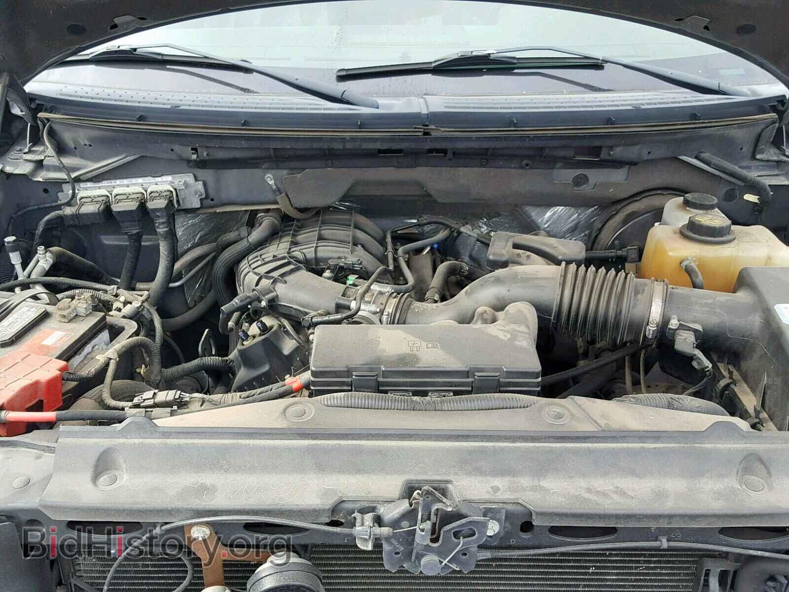 2013 FORD F150 - VIN: 1FTMF1CM0DKD02211 - Фото 7