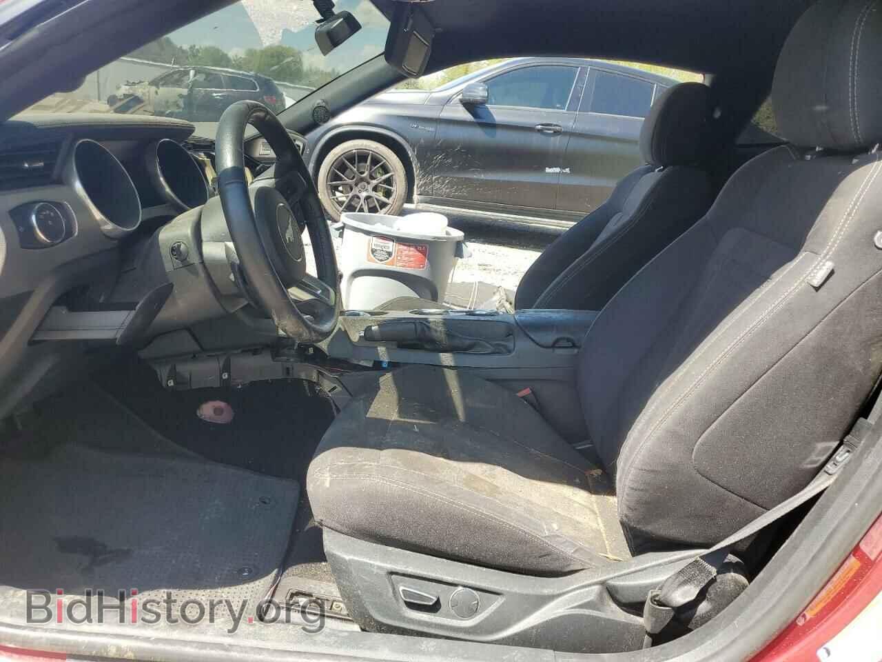 2019 FORD ALL Models - VIN: 1FA6P8TH3K5162786 - Фото 7