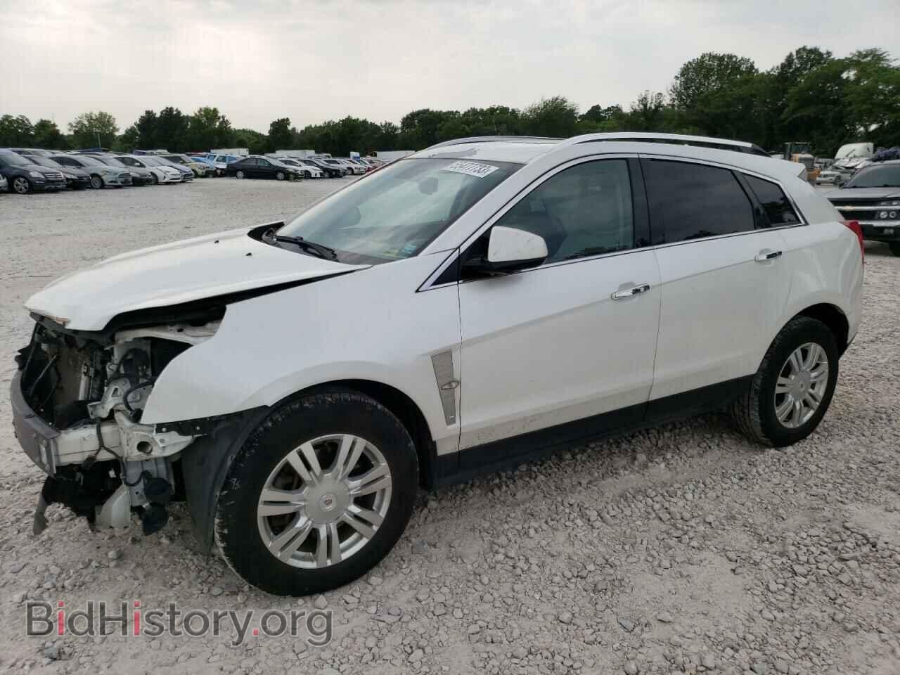Фотография 3GYFNAE39CS544413 - CADILLAC SRX 2012