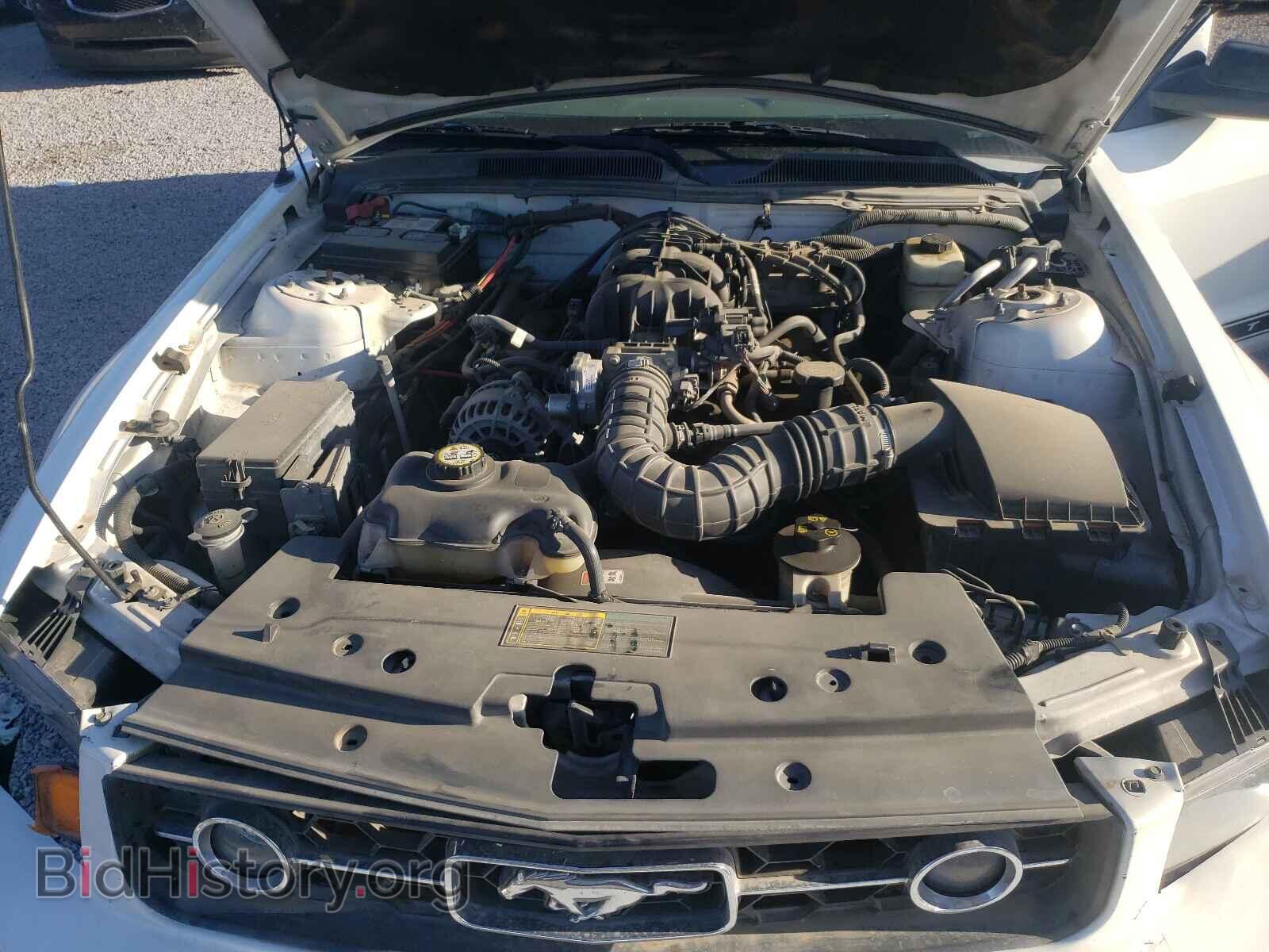 2006 FORD MUSTANG - VIN: 1ZVFT80N365231561 - Фото 7