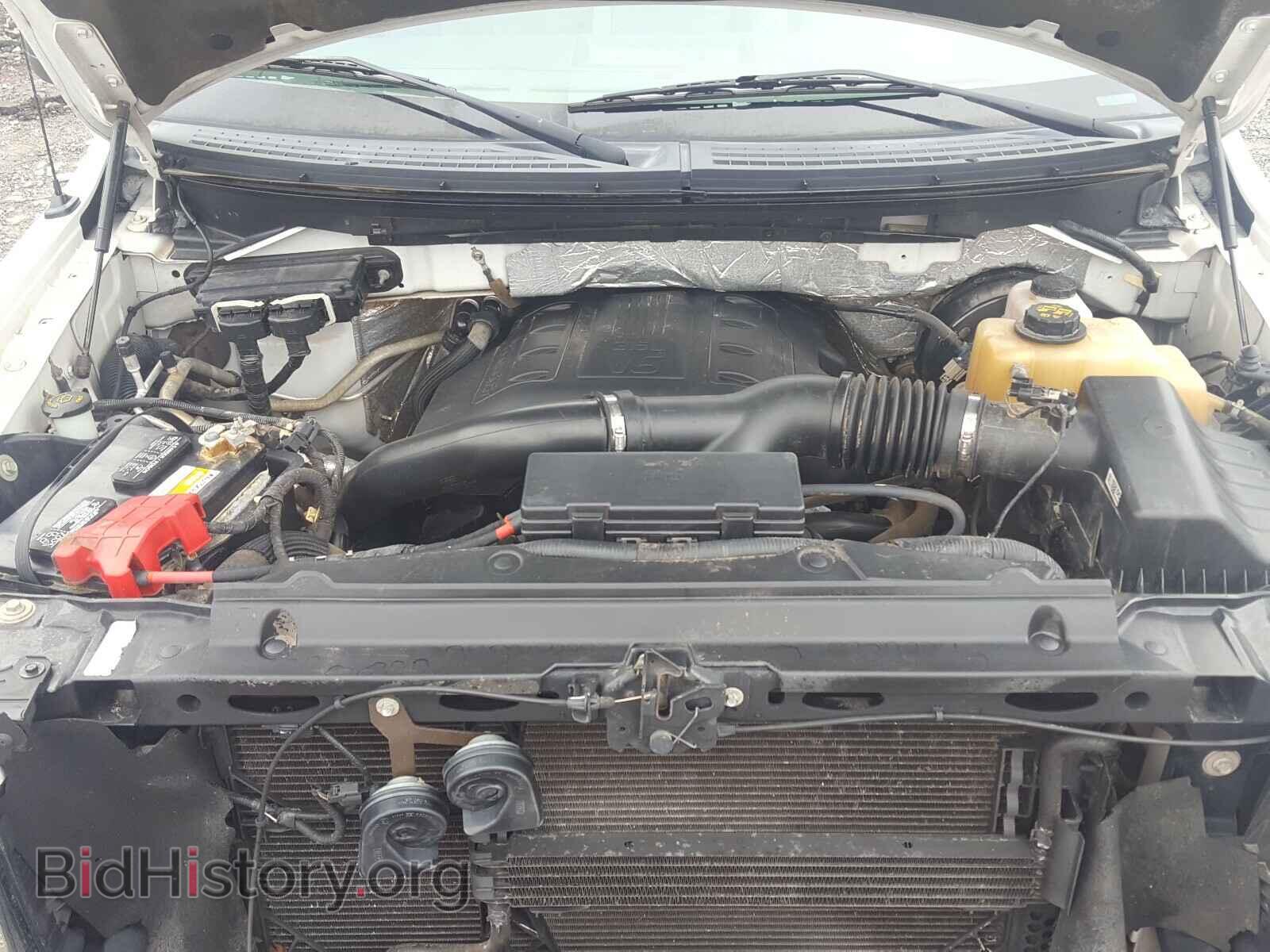 2013 FORD F150 - VIN: 1FTNF1CT8DKF04533 - Фото 7
