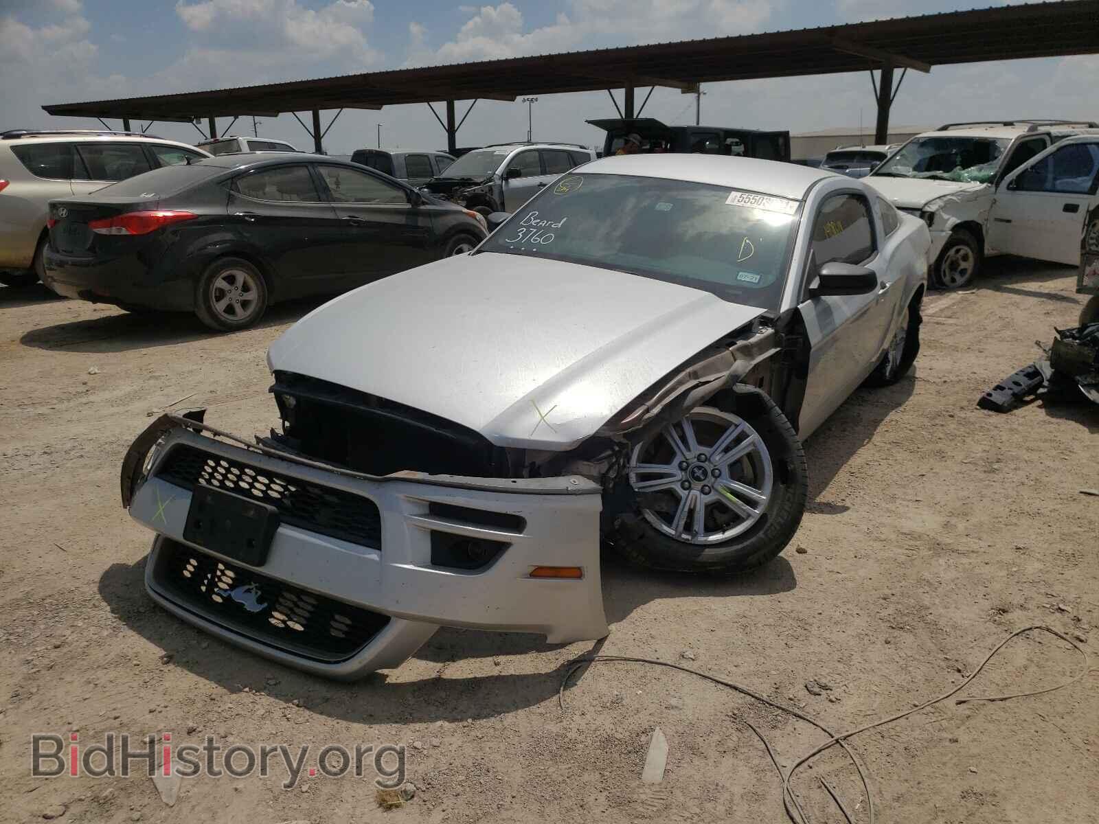 2013 FORD MUSTANG - VIN: 1ZVBP8AM9D5228718 - Фото 2