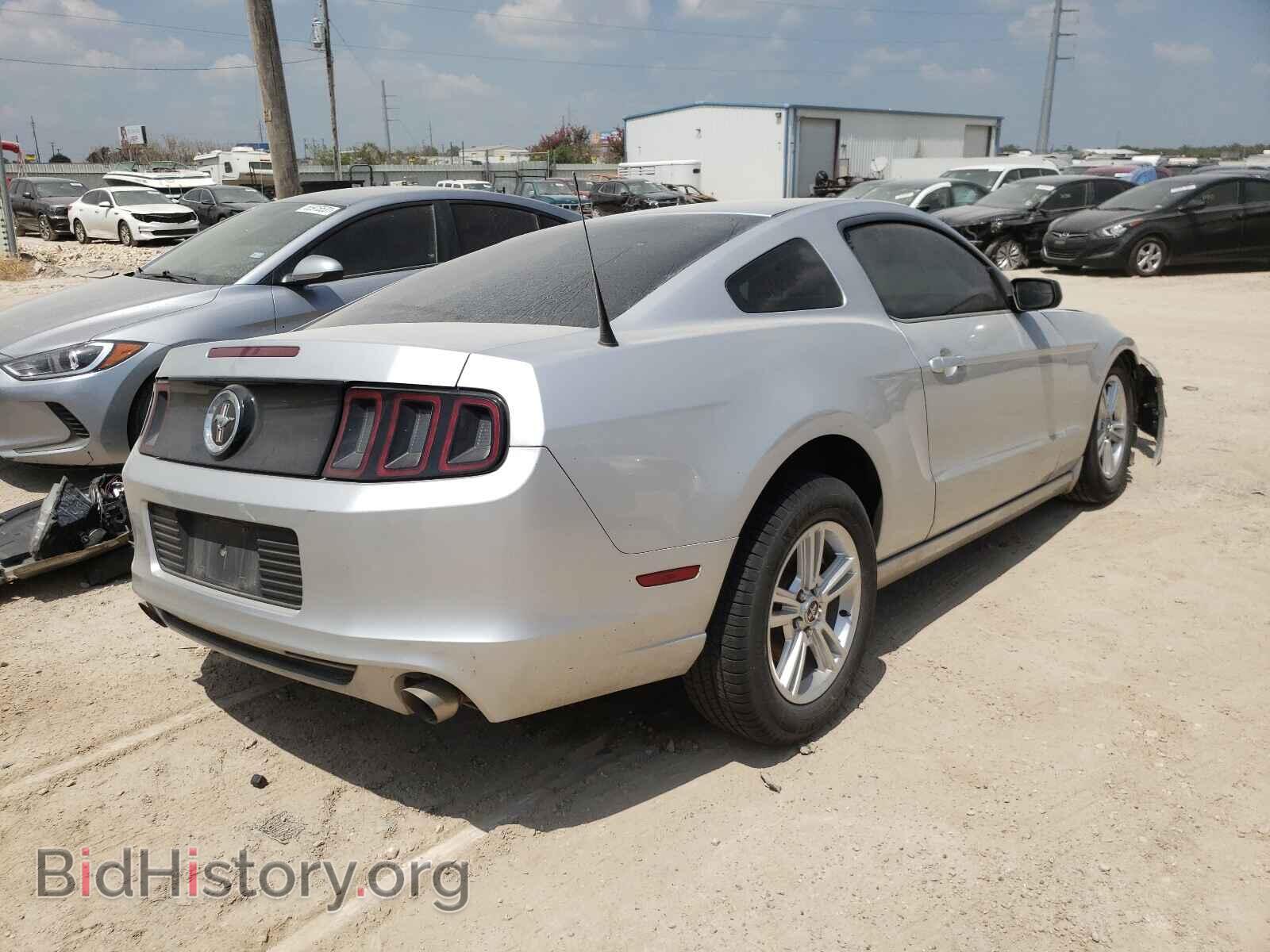 2013 FORD MUSTANG - VIN: 1ZVBP8AM9D5228718 - Фото 4