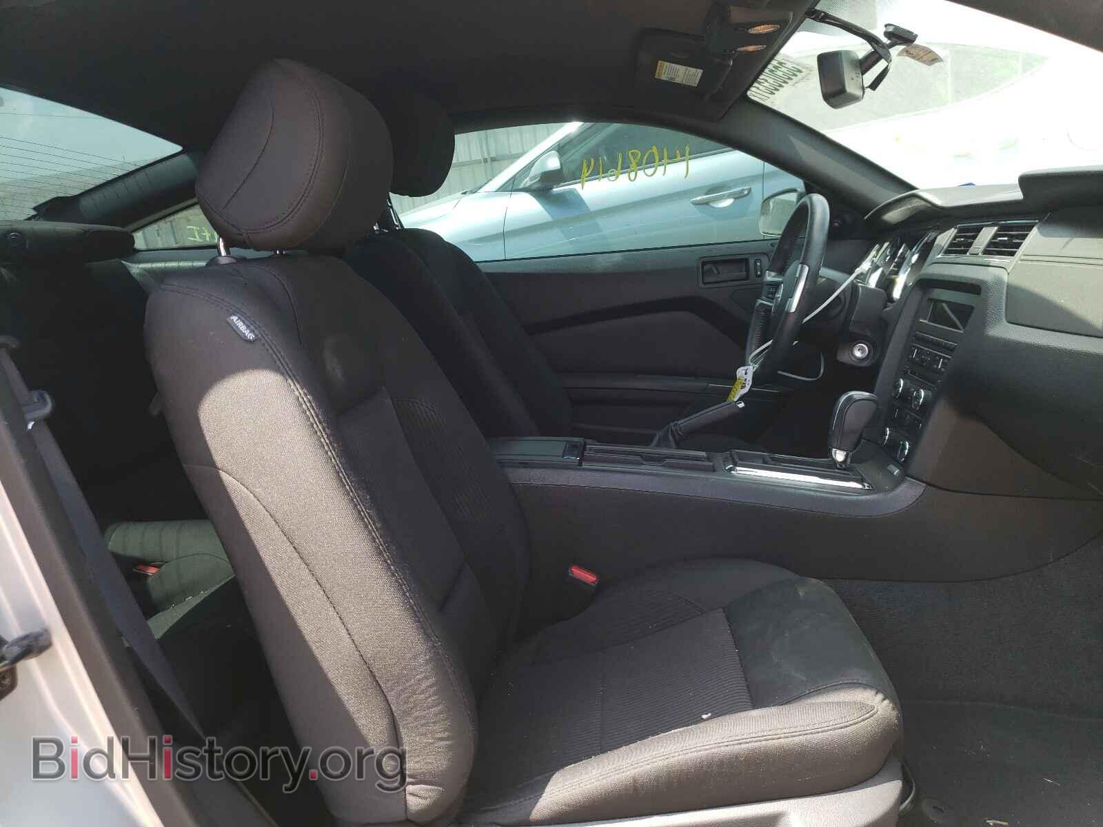 2013 FORD MUSTANG - VIN: 1ZVBP8AM9D5228718 - Фото 5