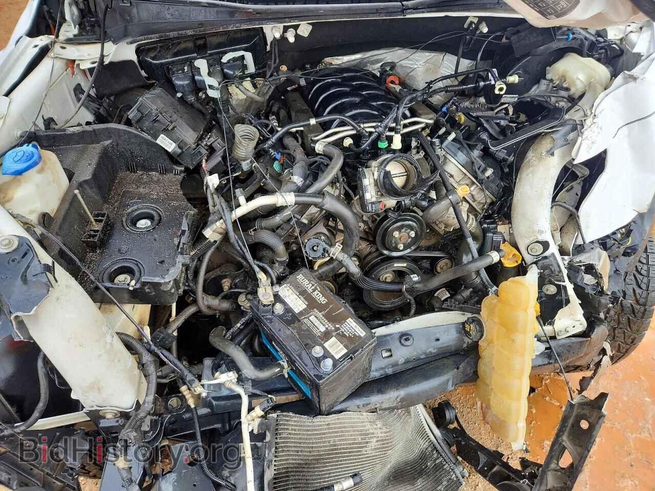 2019 FORD F150 - VIN: 1FTFW1E53KKD03672 - Фото 11