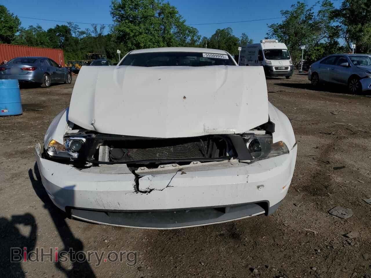 2011 FORD MUSTANG - VIN: 1ZVBP8CF7B5148278 - Фото 5
