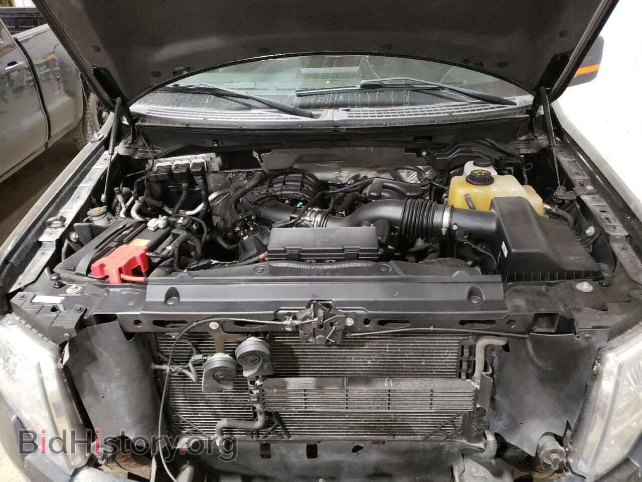 2013 FORD F-150 - VIN: 1FTEX1EM1DFD42112 - Фото 11