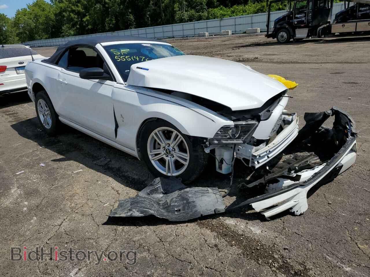 Фотография 1ZVBP8EM6E5299905 - FORD MUSTANG 2014