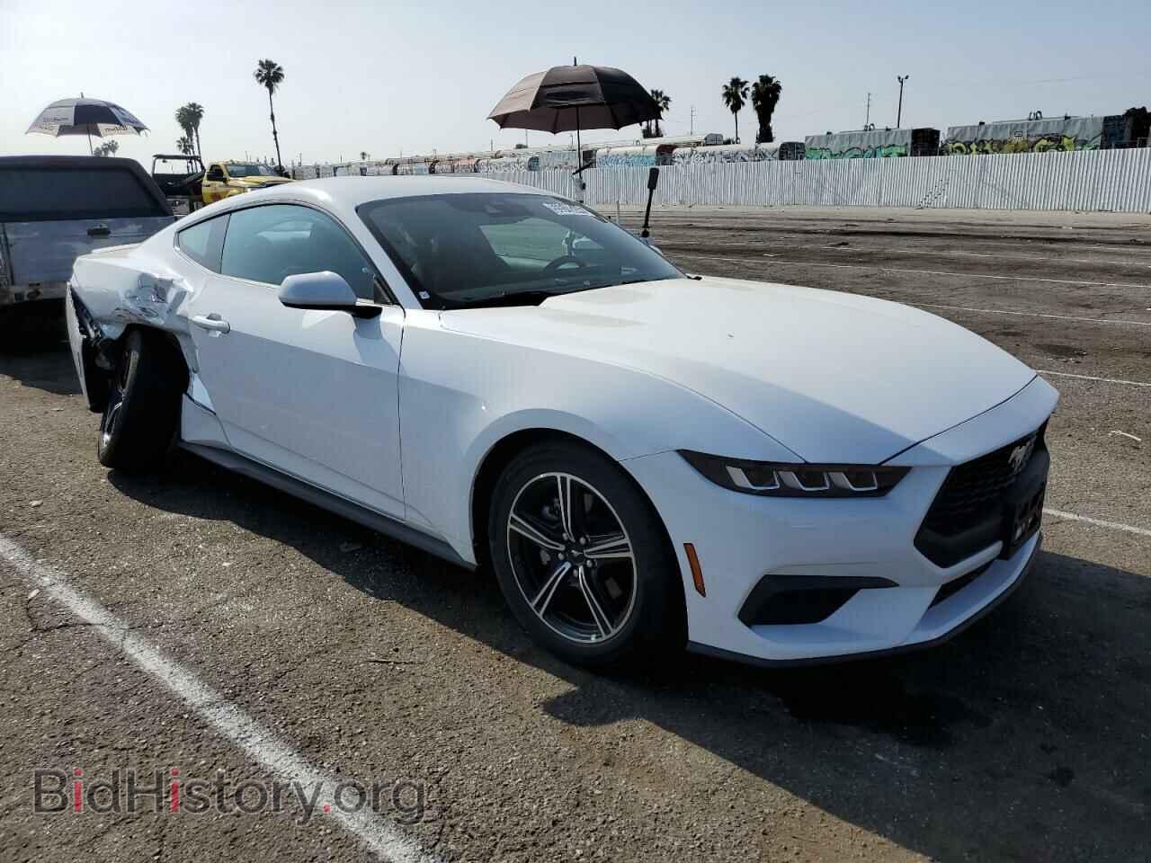 2024 FORD ALL Models - VIN: 1FA6P8TH7R5122639 - Photo 4