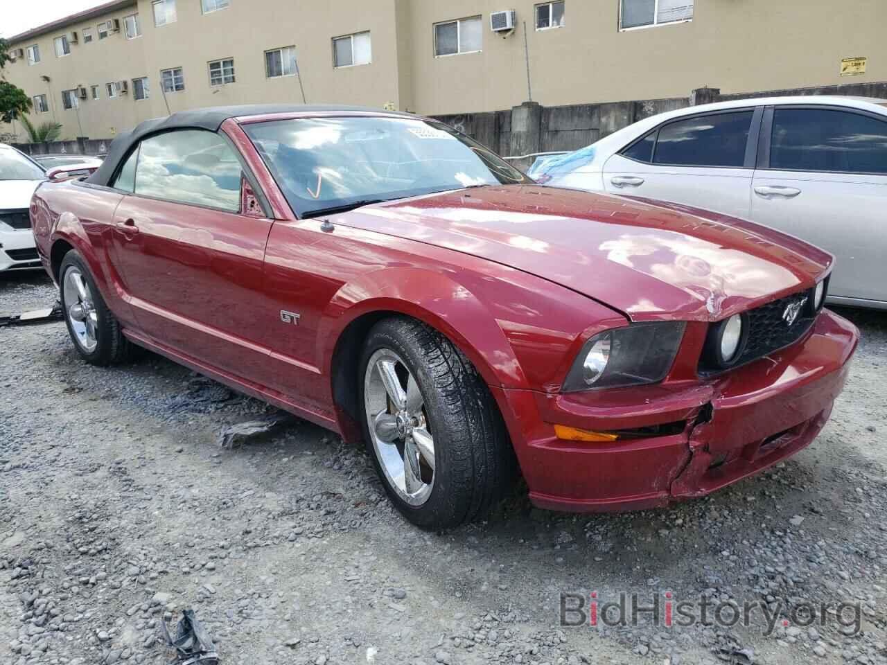 Photo 1ZVFT85H775215397 - FORD MUSTANG 2007