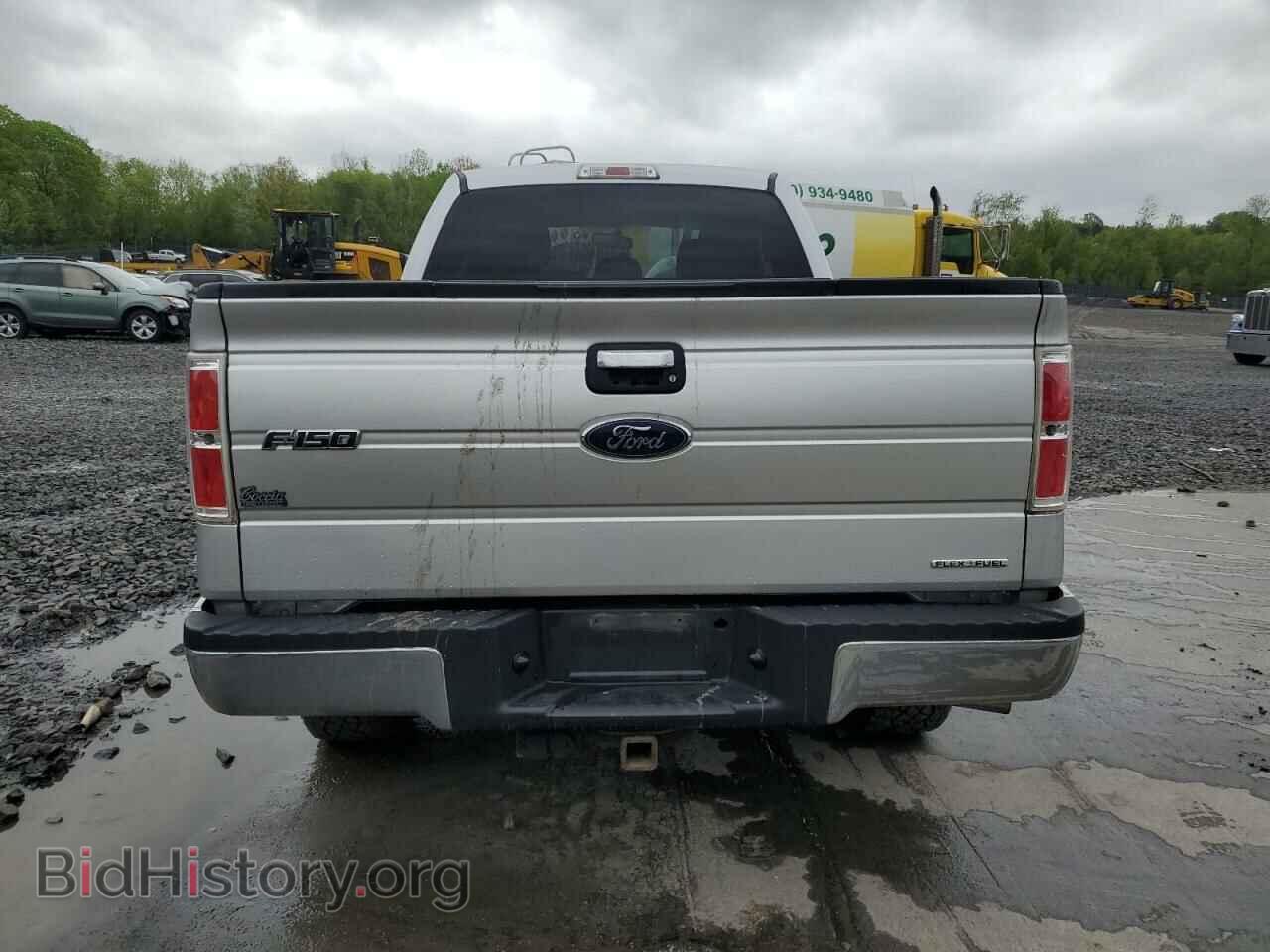 2013 FORD F-150 - VIN: 1FTFX1EF1DFC68650 - Фото 6