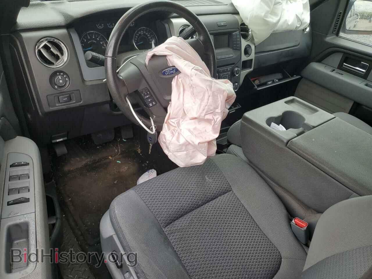 2013 FORD F-150 - VIN: 1FTFX1EF1DFC68650 - Фото 8