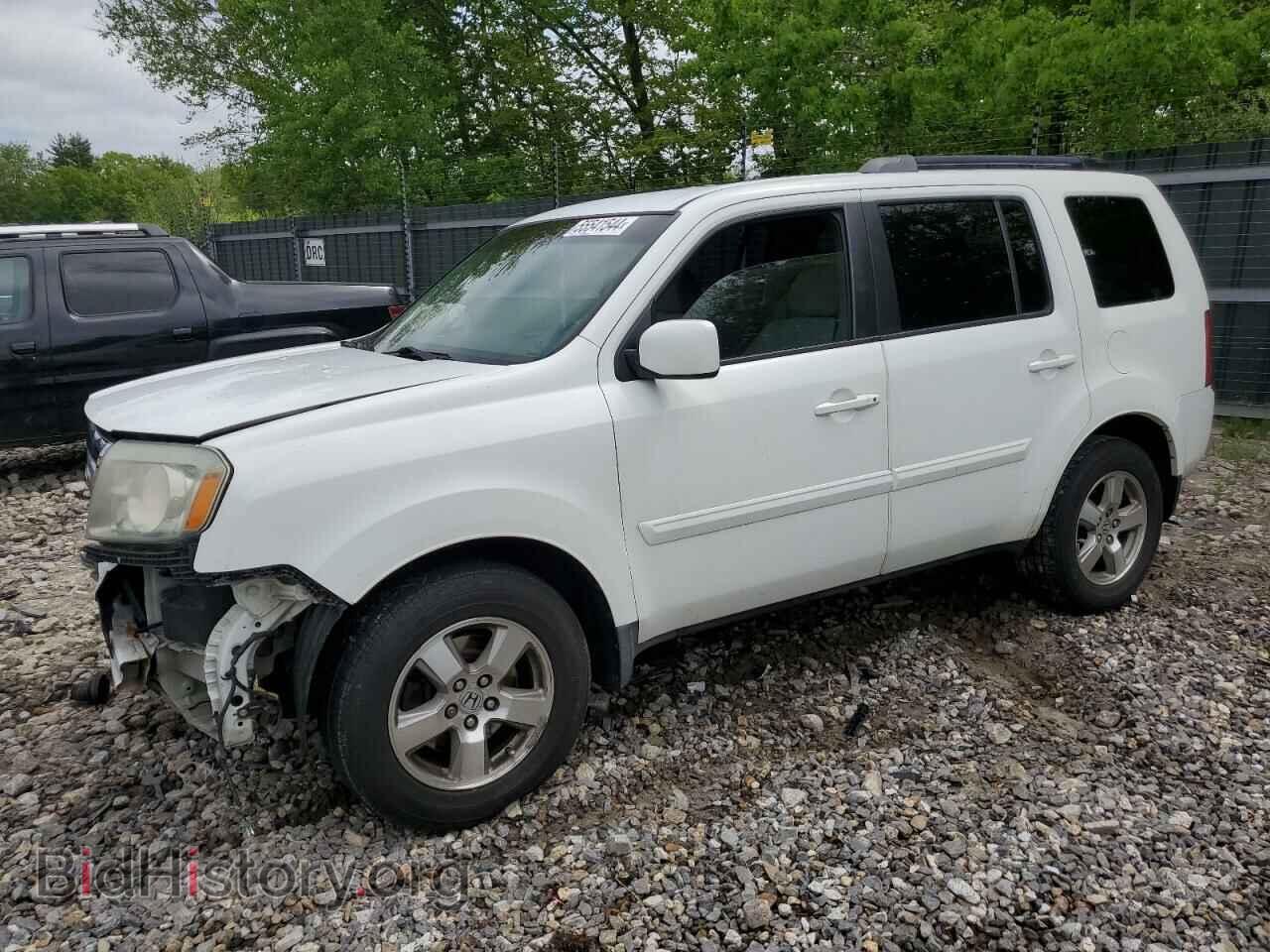 Фотография 5FNYF38449B005730 - HONDA PILOT 2009