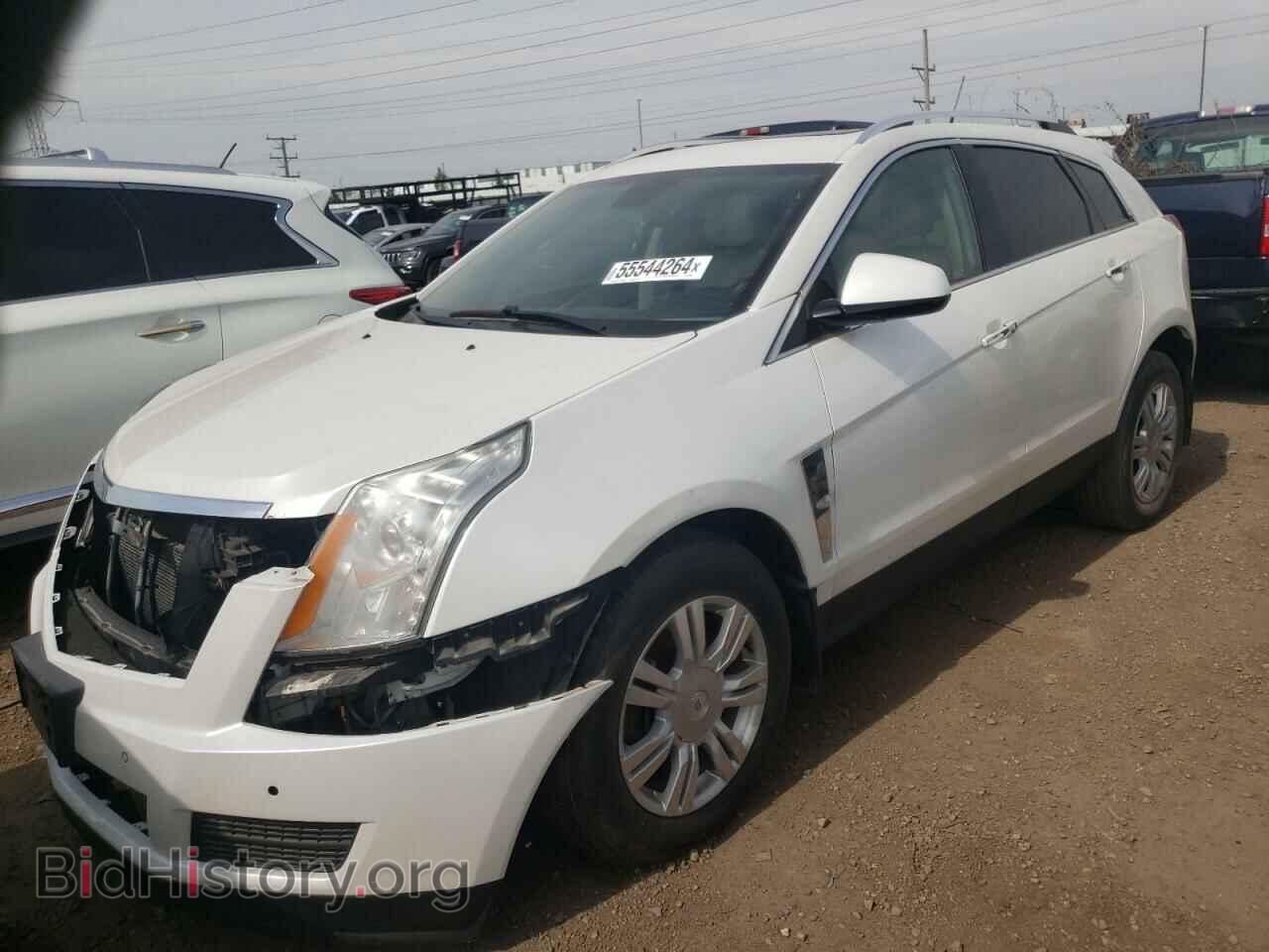 Photo 3GYFNDEY9AS580645 - CADILLAC SRX 2010