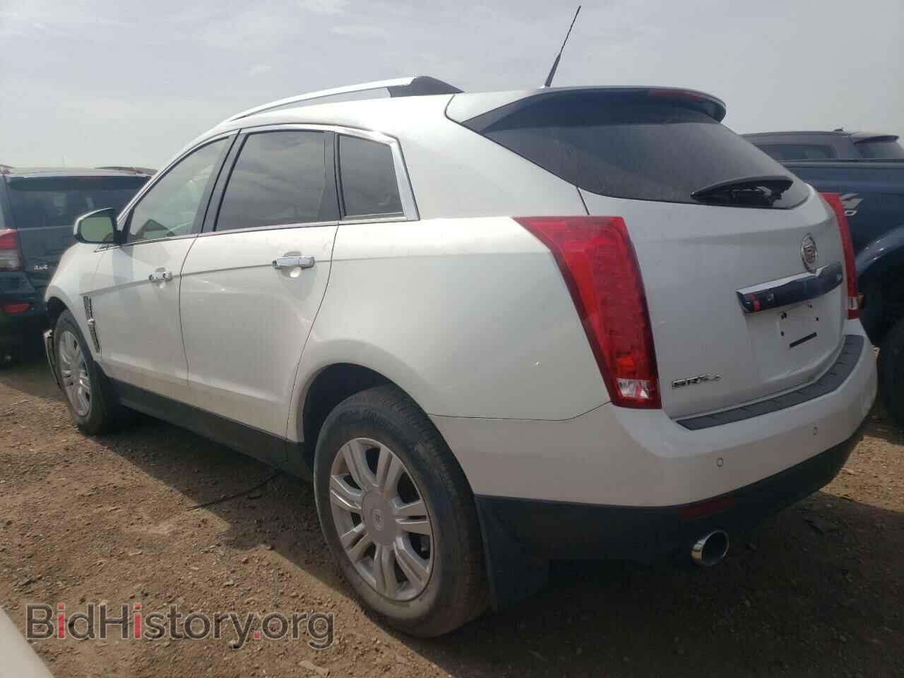2010 CADILLAC SRX - VIN: 3GYFNDEY9AS580645 - Фото 2