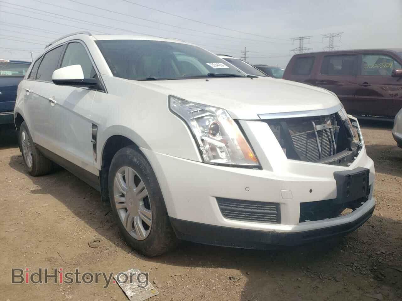 2010 CADILLAC SRX - VIN: 3GYFNDEY9AS580645 - Фото 4