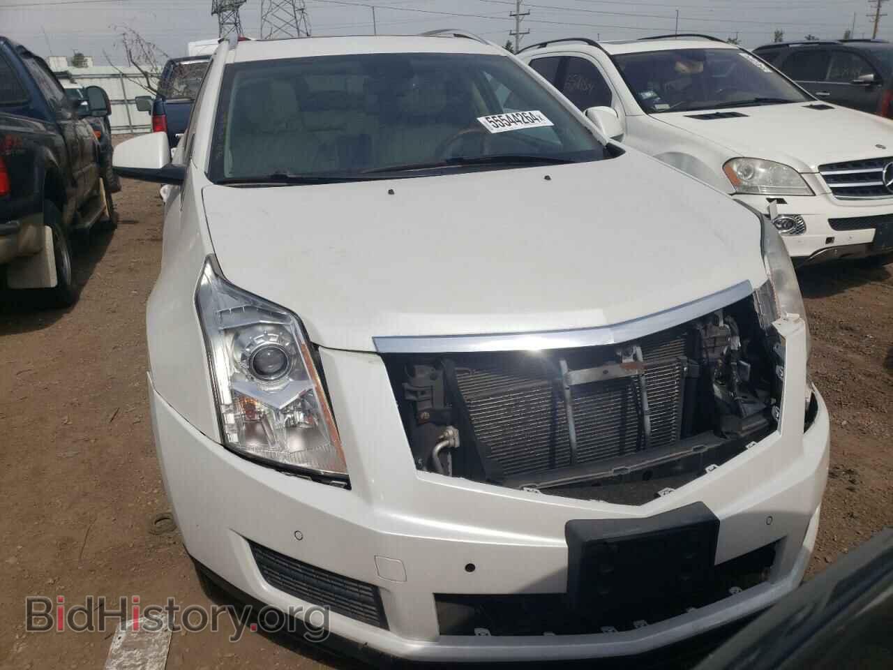 2010 CADILLAC SRX - VIN: 3GYFNDEY9AS580645 - Фото 5
