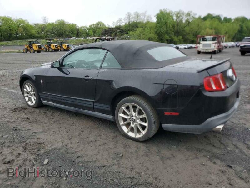 2011 Ford ALL MODELS (VIN 1ZVBP8EMXB5101189) — фото 2 из 12