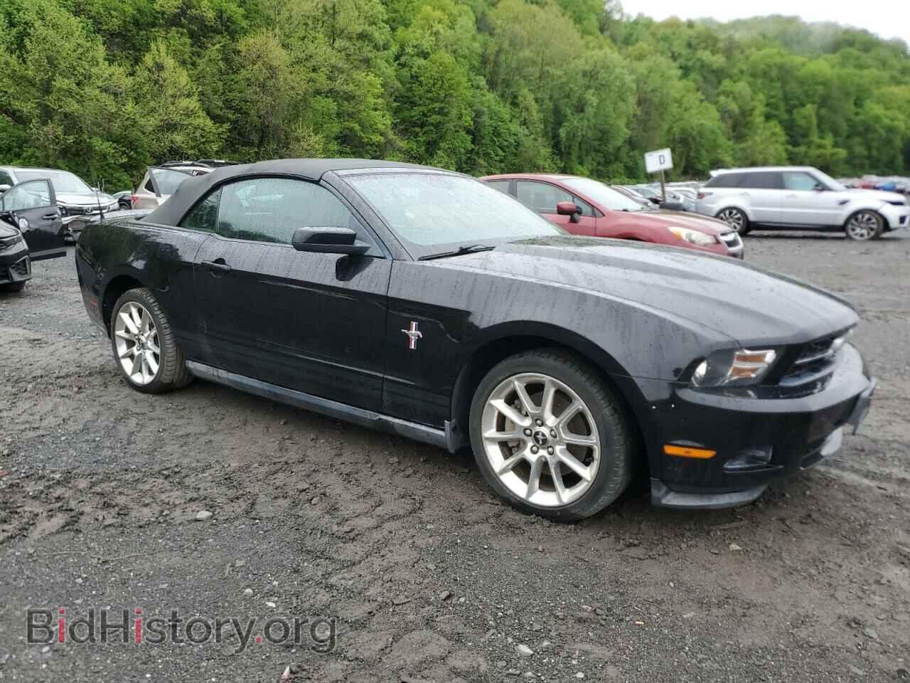 2011 FORD ALL Models - VIN: 1ZVBP8EMXB5101189 - Фото 4