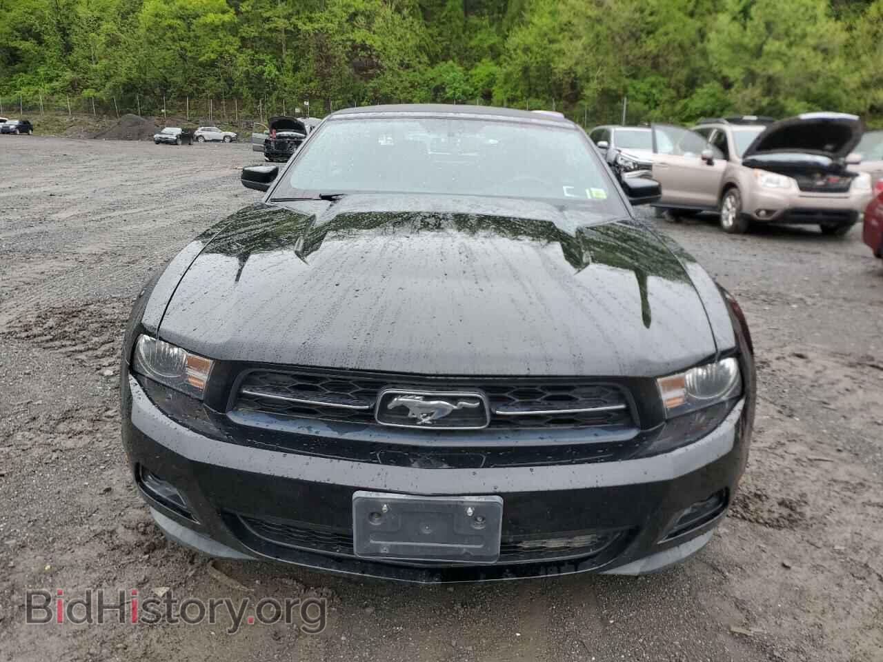 2011 FORD ALL Models - VIN: 1ZVBP8EMXB5101189 - Фото 5