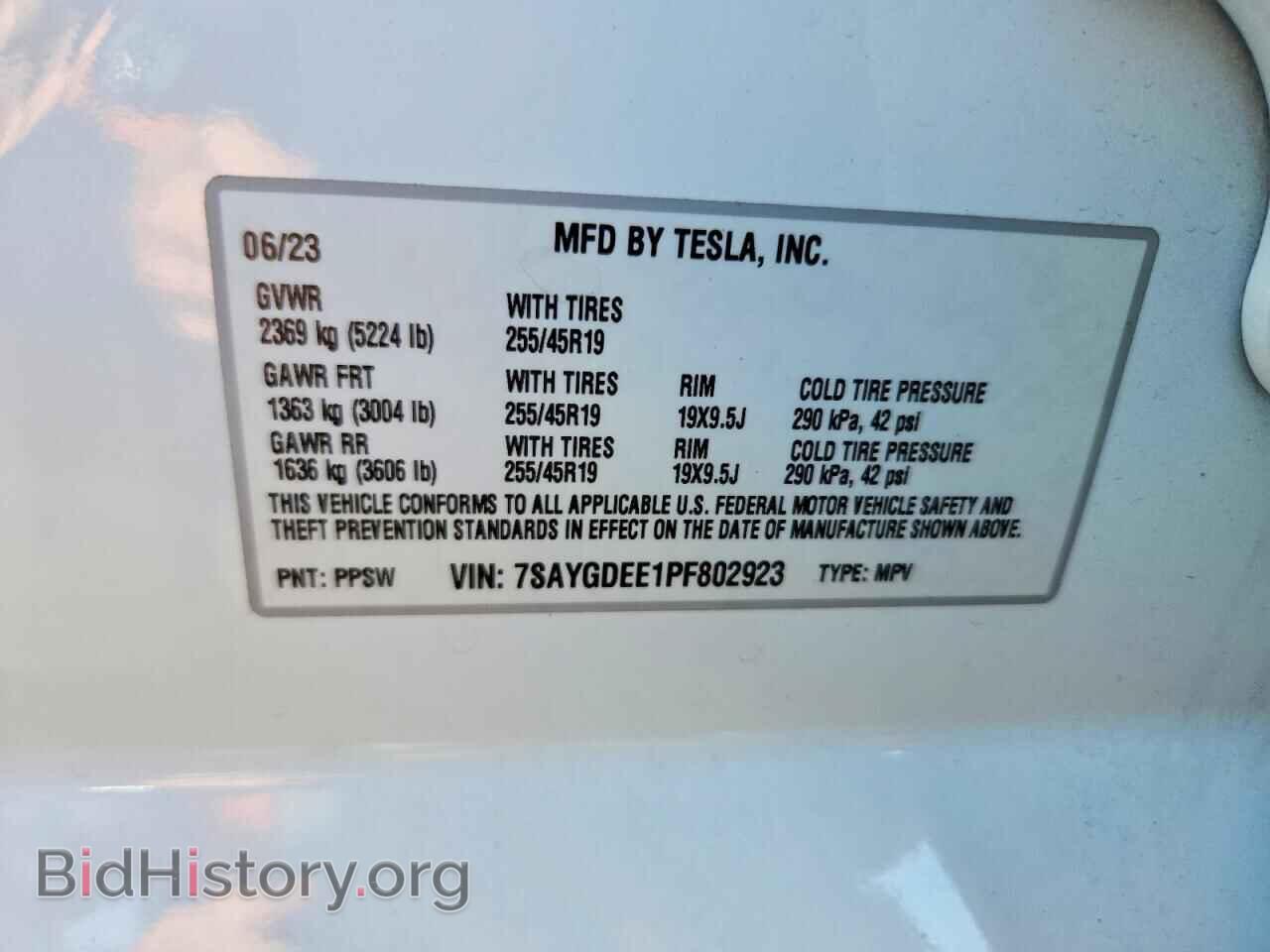 2023 TESLA MODEL Y - VIN: 7SAYGDEE1PF802923 - Фото 12