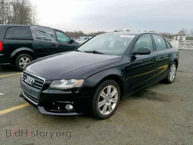 2010 AUDI A4 - VIN: WAUBFAFL5AN035567 - Фото 2