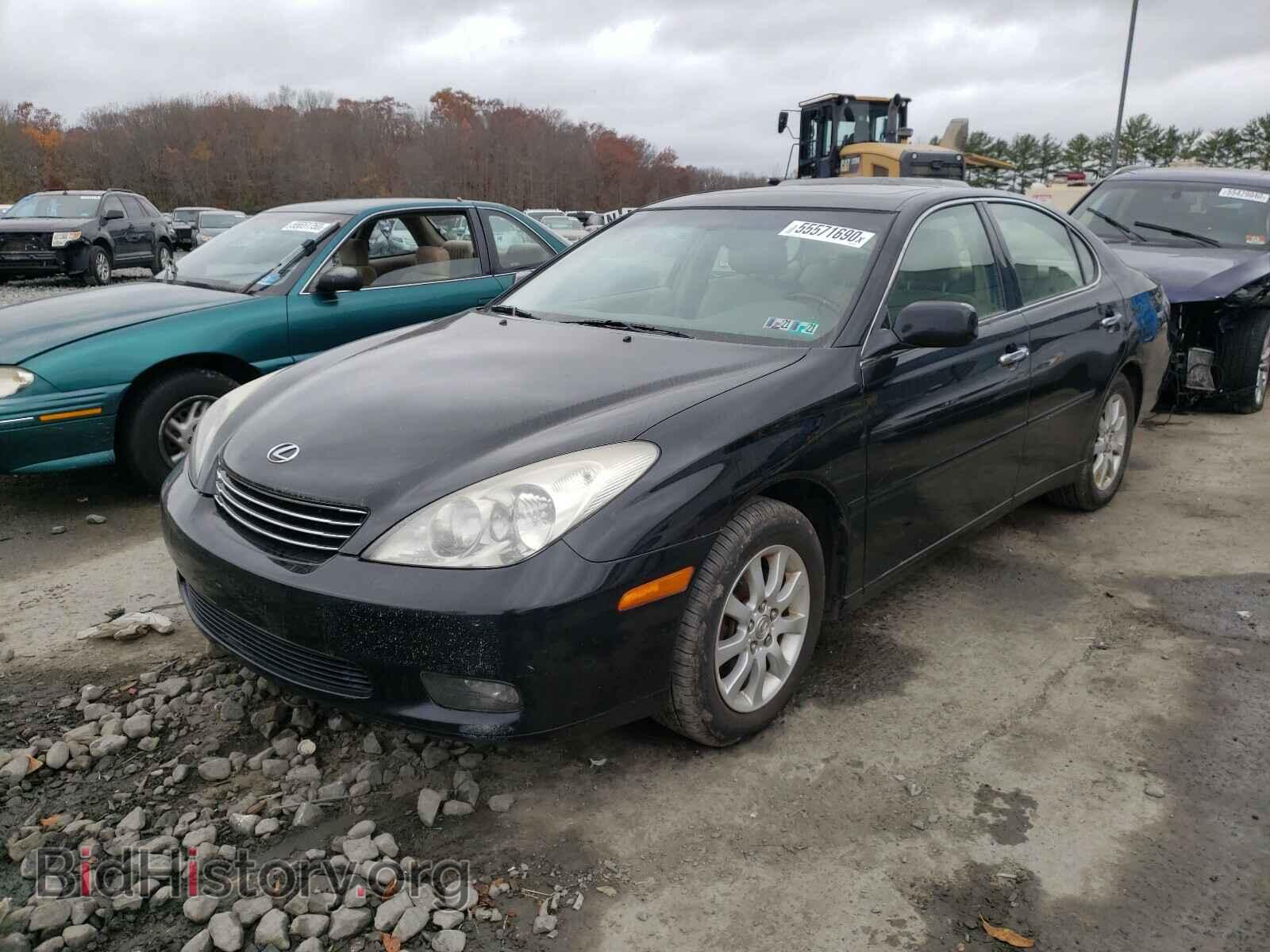 2004 LEXUS ES300 - VIN: JTHBA30GX45053218 - Фото 2