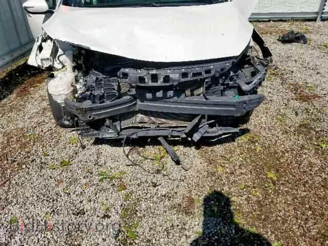 2014 KIA FORTE - VIN: KNAFX4A82E5087781 - Фото 9