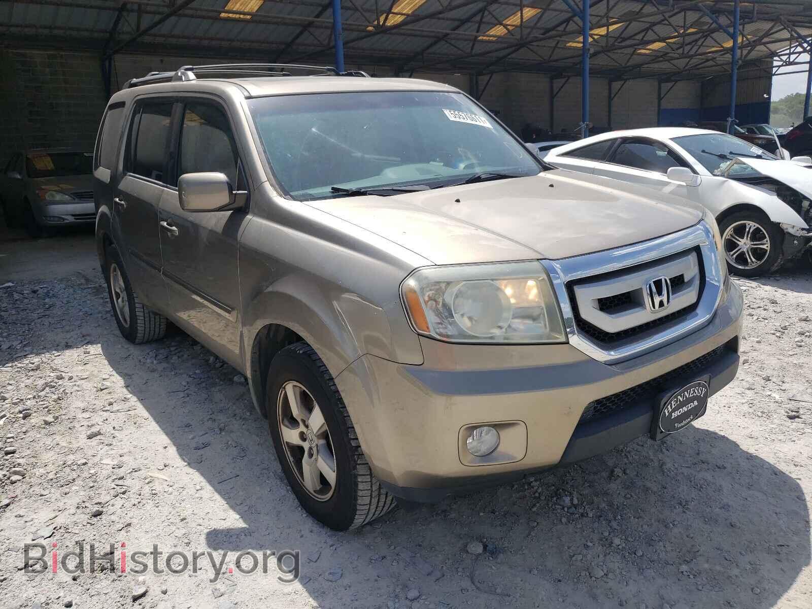 Фотография 5FNYF3H73BB012698 - HONDA PILOT 2011