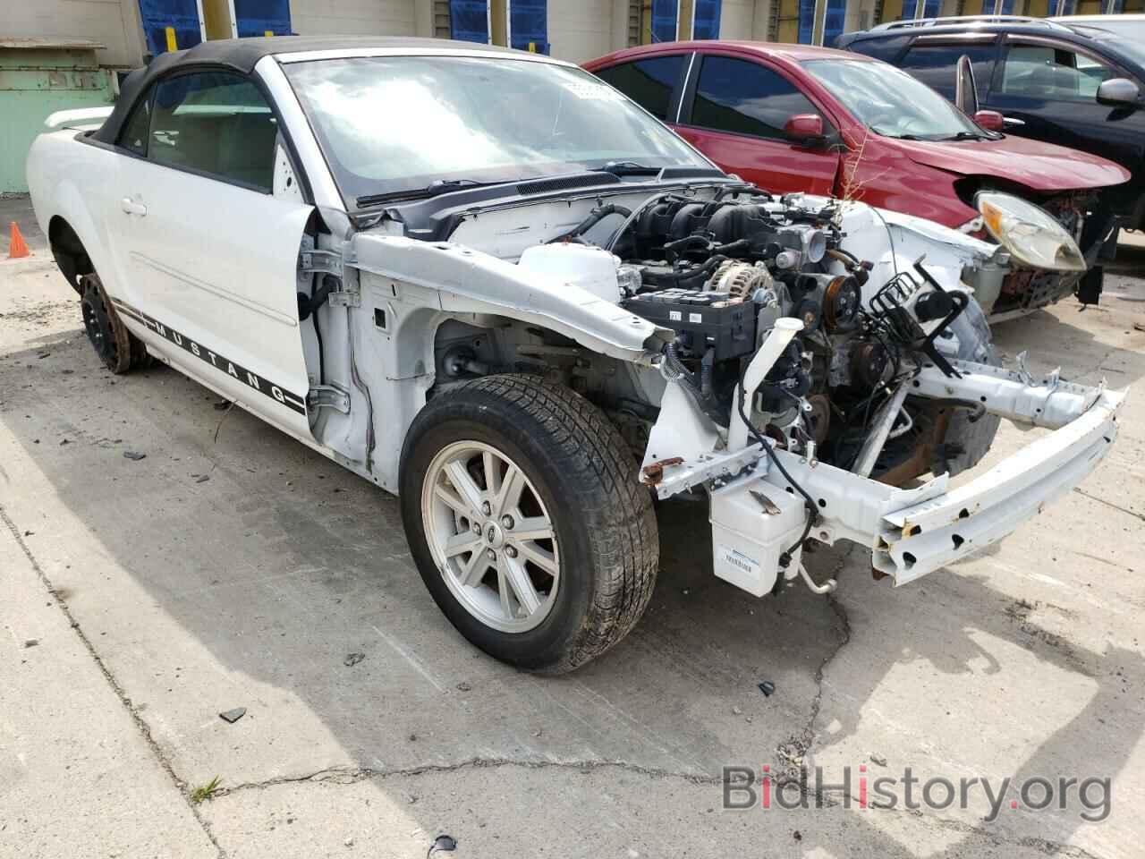 Photo 1ZVFT84N565235217 - FORD MUSTANG 2006