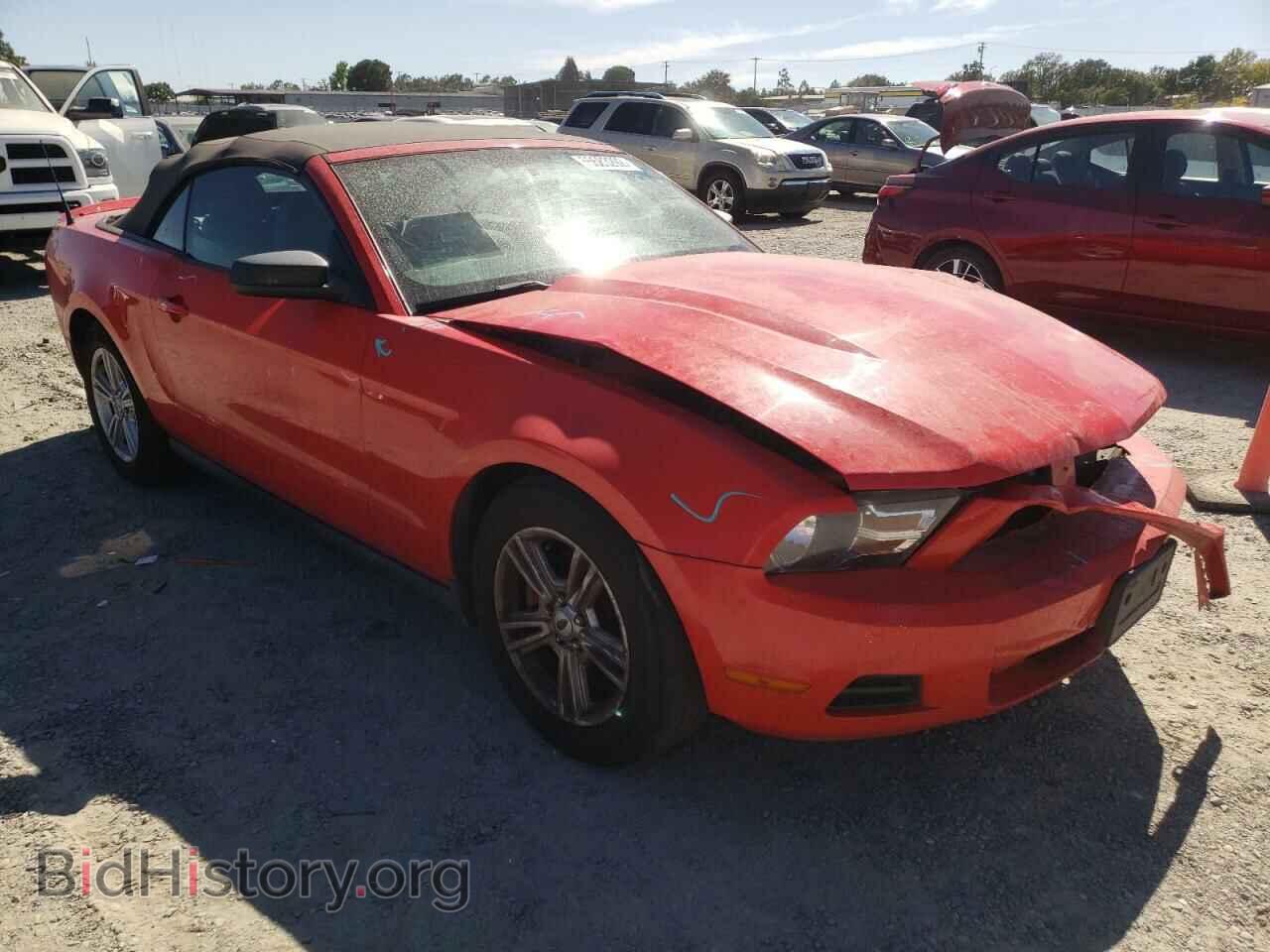 Photo 1ZVBP8EM5B5148484 - FORD MUSTANG 2011