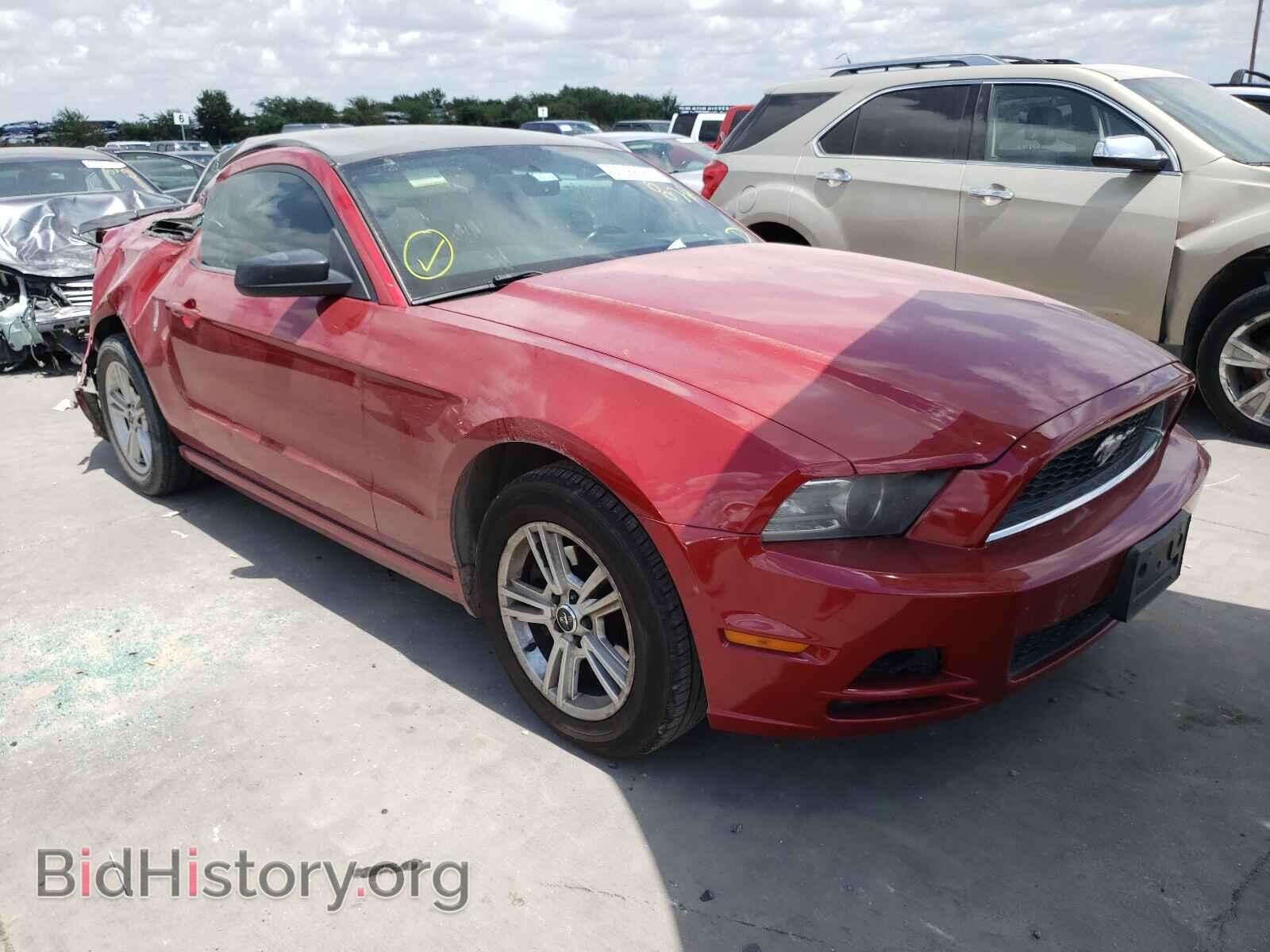 Фотография 1ZVBP8AM7D5279201 - FORD MUSTANG 2013