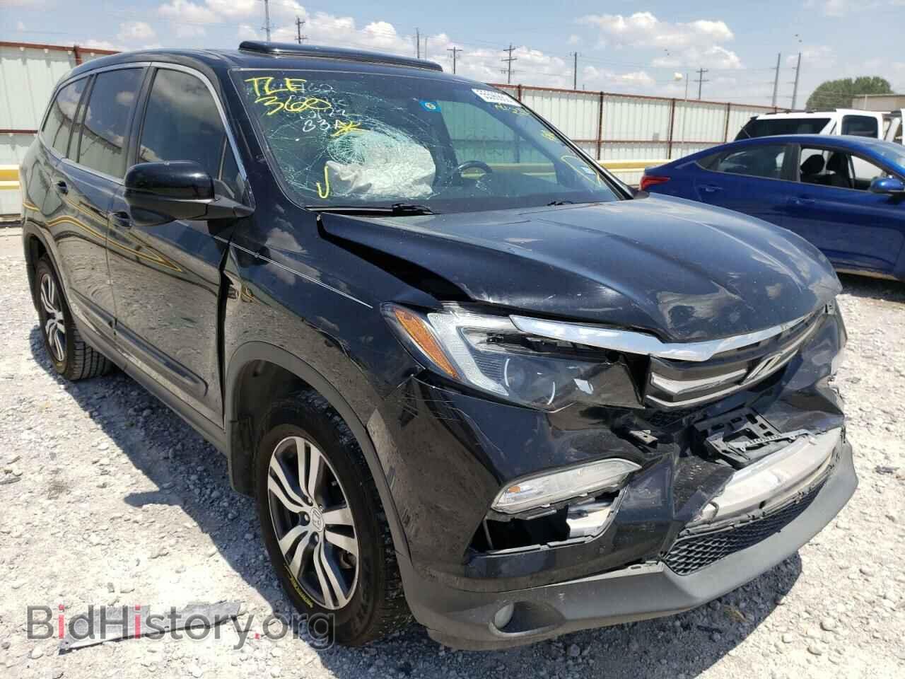 Photo 5FNYF5H85HB042234 - HONDA PILOT 2017