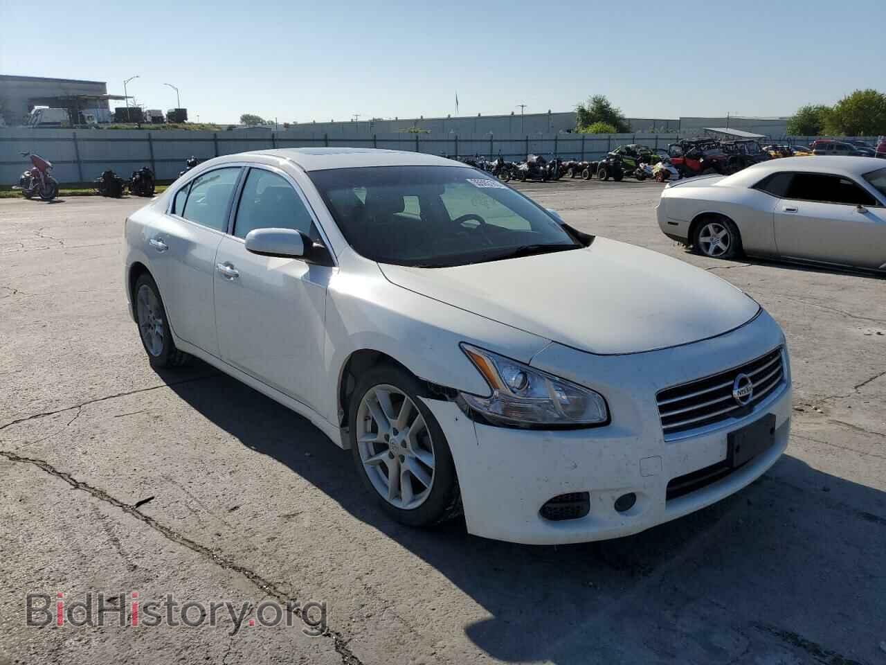 Photo 1N4AA5AP7AC861787 - NISSAN MAXIMA 2010