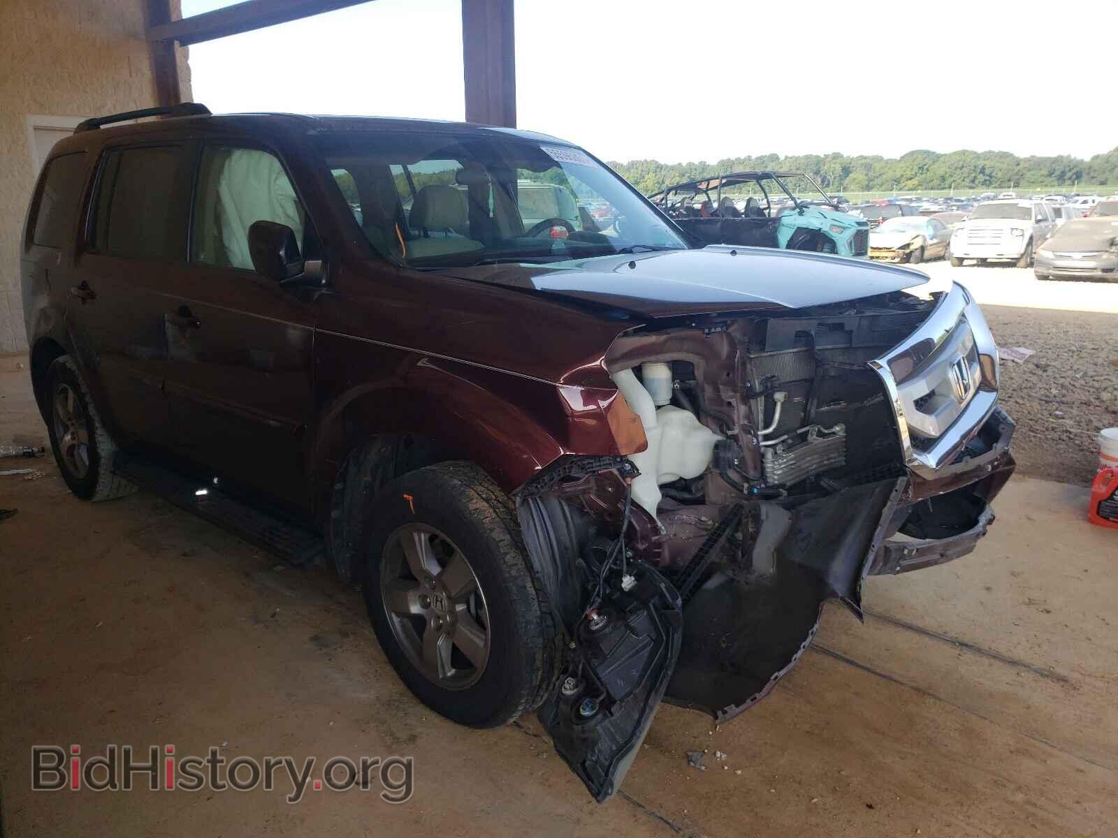 Фотография 5FNYF3H46BB021966 - HONDA PILOT 2011