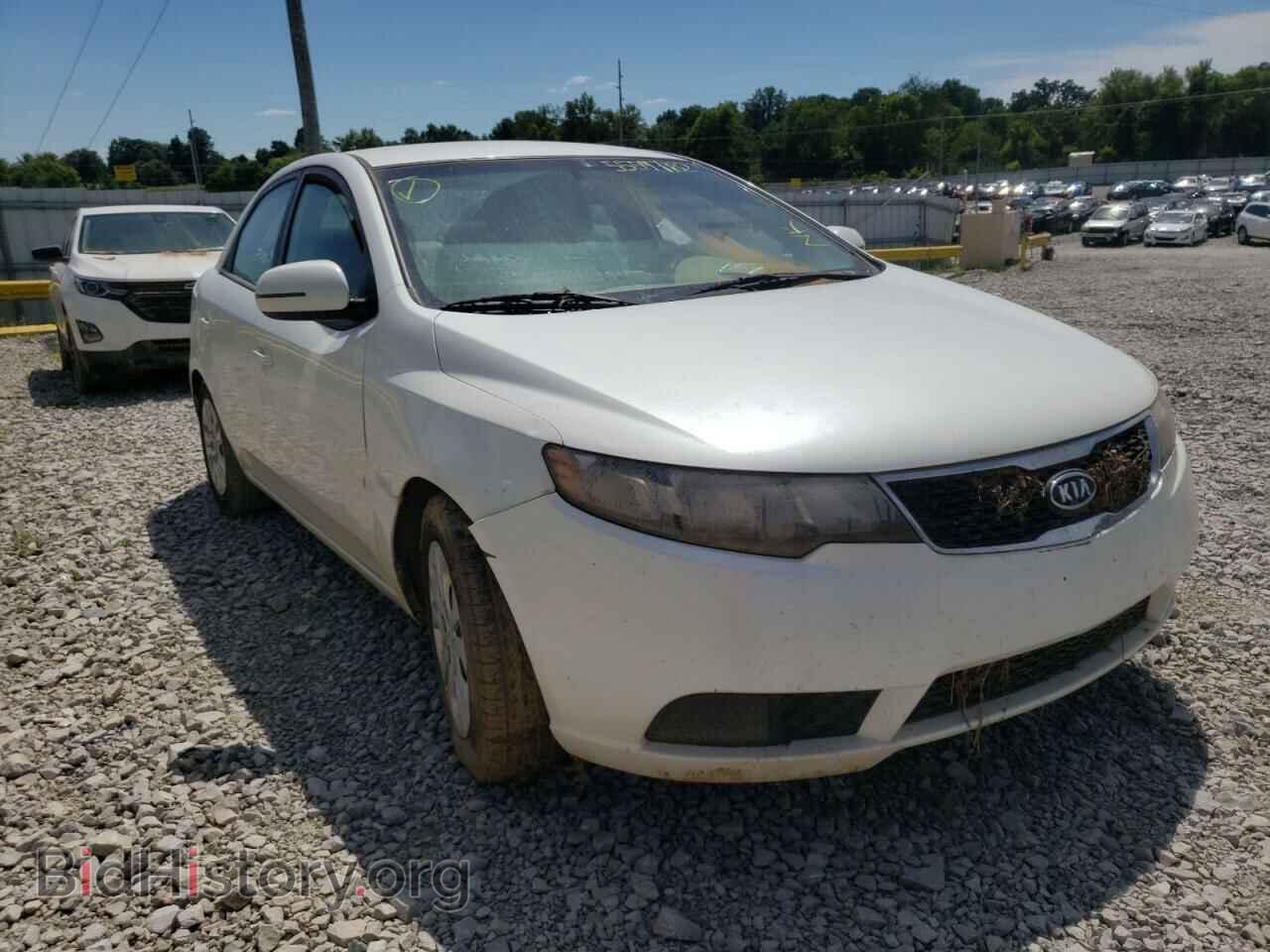 Фотография KNAFU4A28D5683089 - KIA FORTE 2013