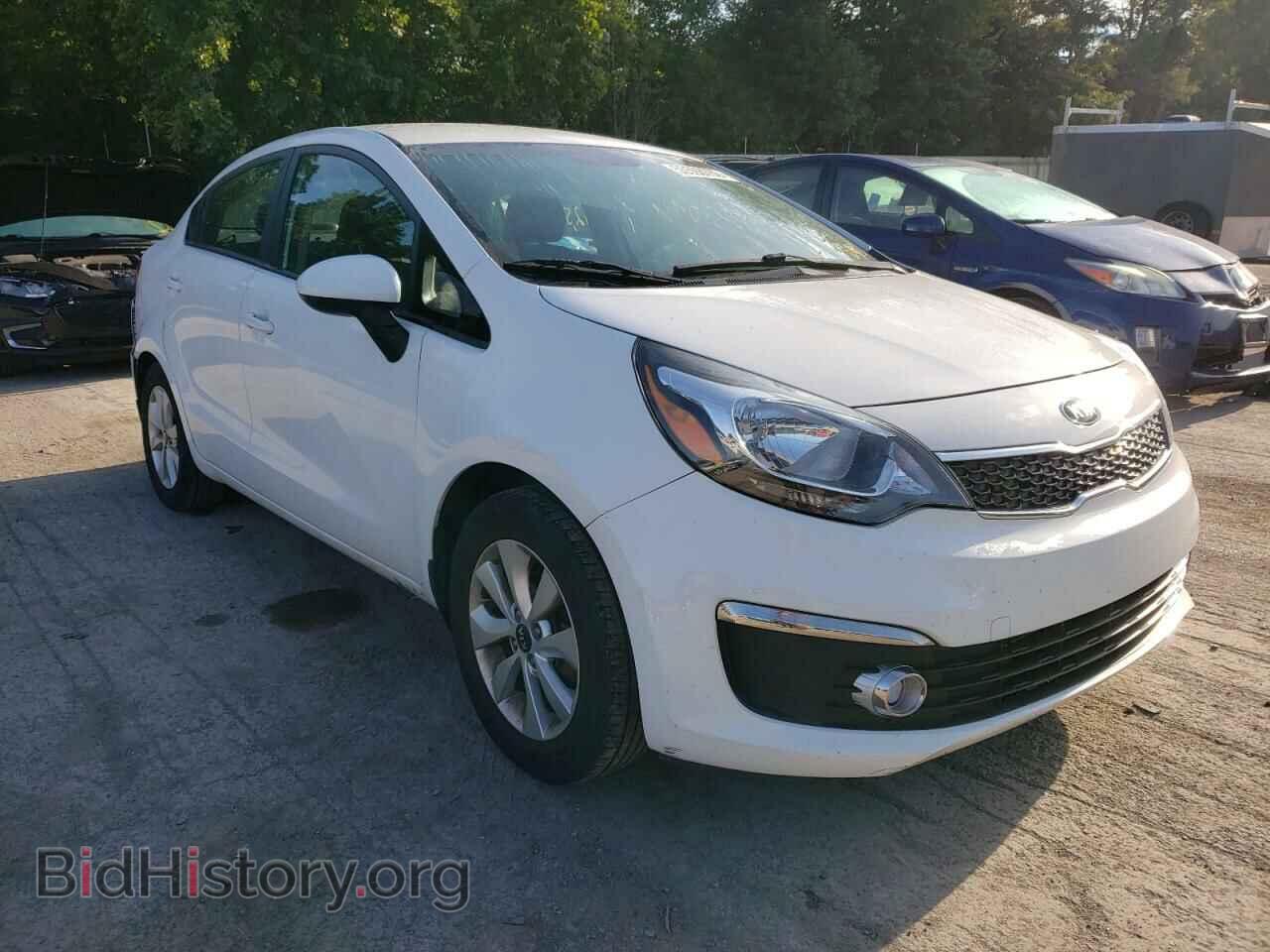 Фотография KNADN4A38G6645891 - KIA RIO 2016