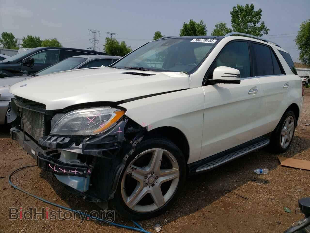 Photo 4JGDA7DB9EA336326 - MERCEDES-BENZ M-CLASS 2014