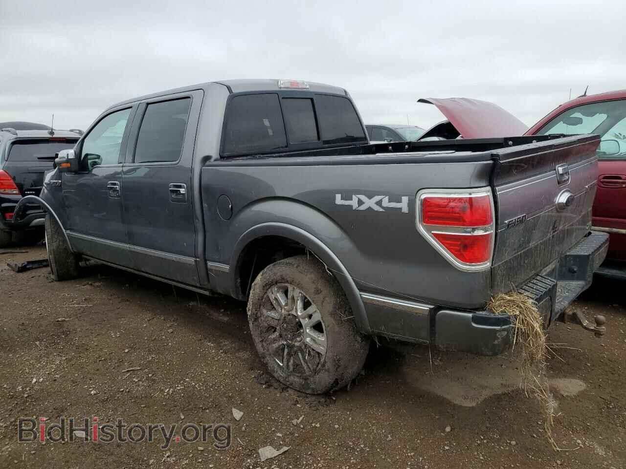 2010 FORD F-150 - VIN: 1FTFW1EV3AFB43865 - Фото 2
