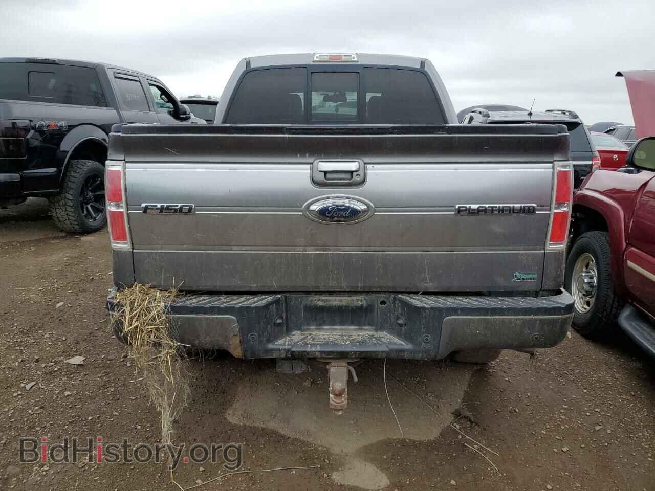 2010 FORD F-150 - VIN: 1FTFW1EV3AFB43865 - Фото 6