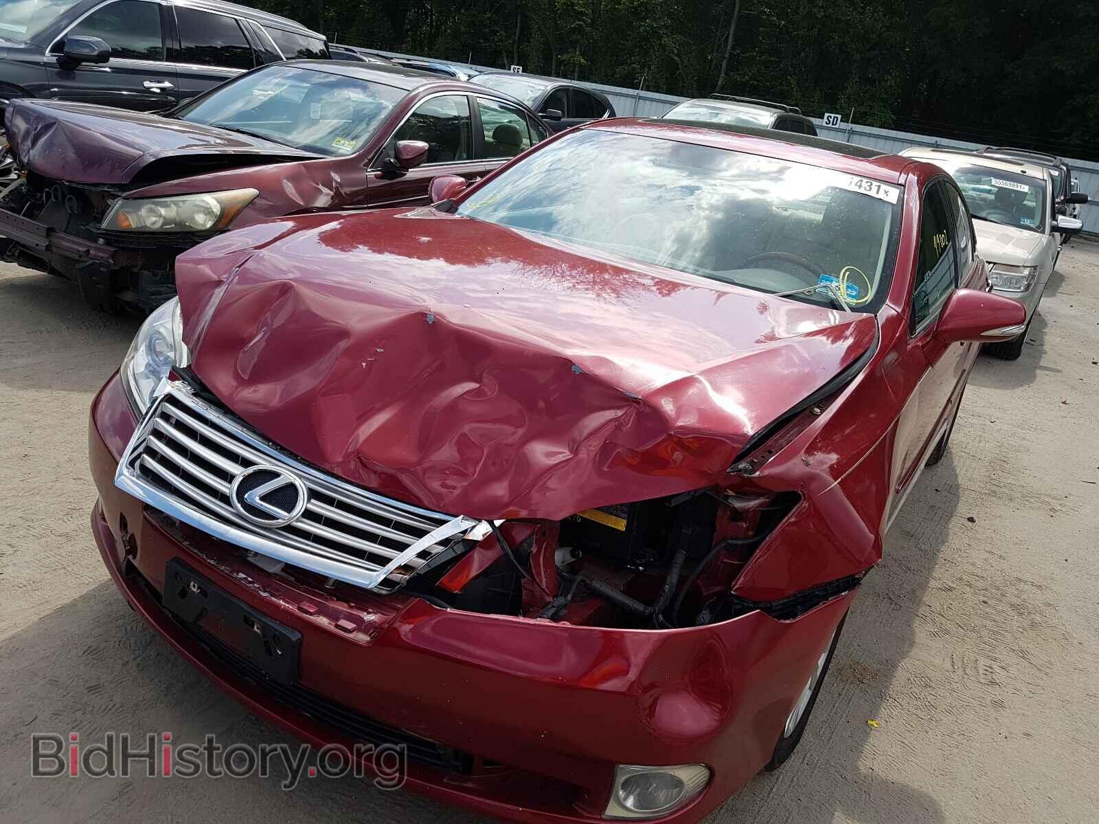 2011 LEXUS ES350 - VIN: JTHBK1EG6B2441538 - Фото 2