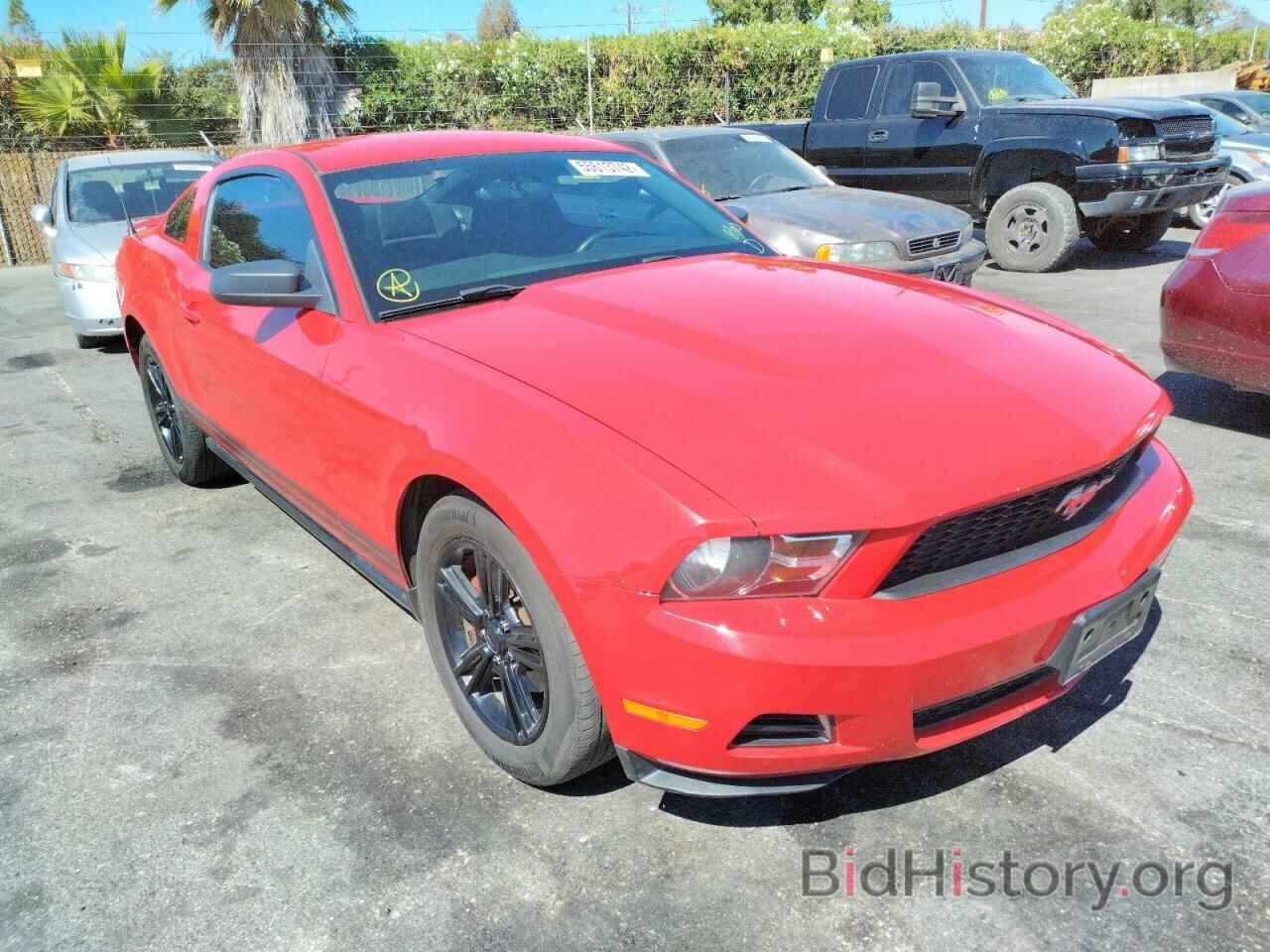 Photo 1ZVBP8AN0A5124977 - FORD MUSTANG 2010