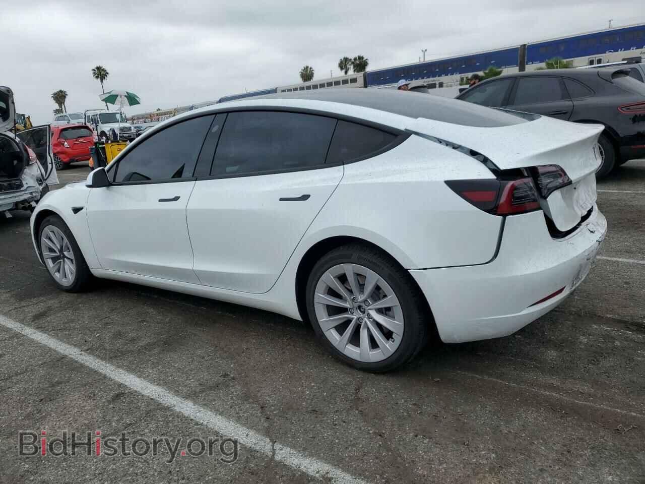 2023 TESLA MODEL 3 - VIN: 5YJ3E1EA8PF483447 - Фото 2