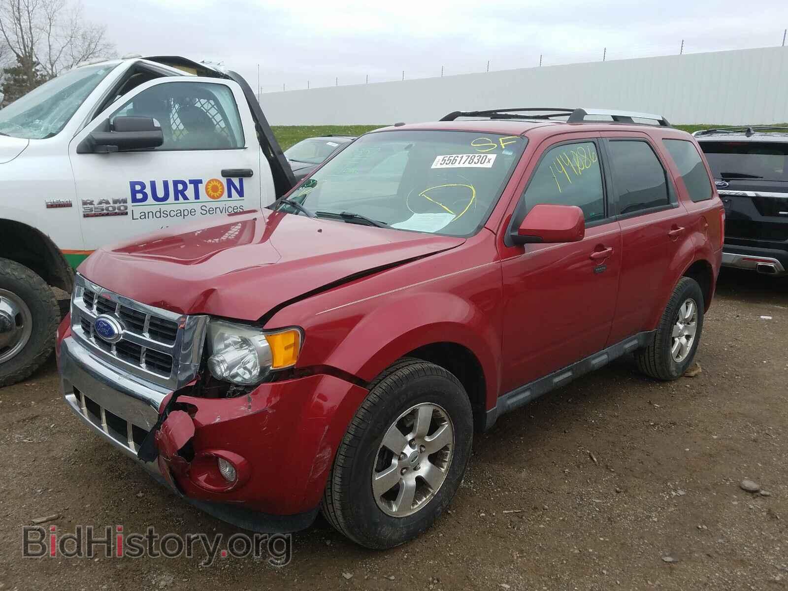2011 FORD ESCAPE - VIN: 1FMCU9EG5BKC03934 - Фото 2