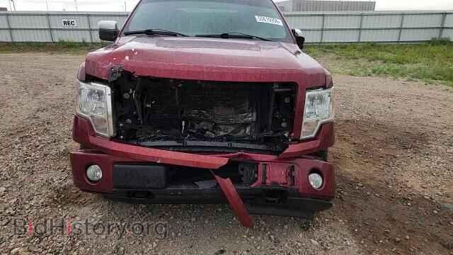 2014 FORD F150 - VIN: 1FTFW1EF3EKD23398 - Фото 14