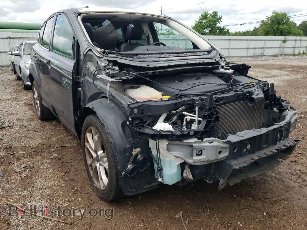 Фотография 1FMCU0H98DUA41121 - FORD ESCAPE 2013