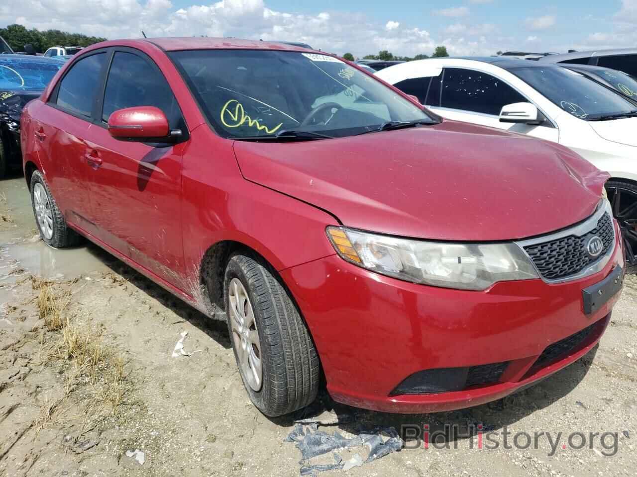 Фотография KNAFU4A28D5647449 - KIA FORTE 2013