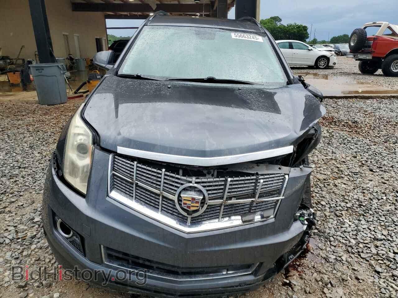 2011 CADILLAC SRX - VIN: 3GYFNGEY9BS544599 - Фото 5